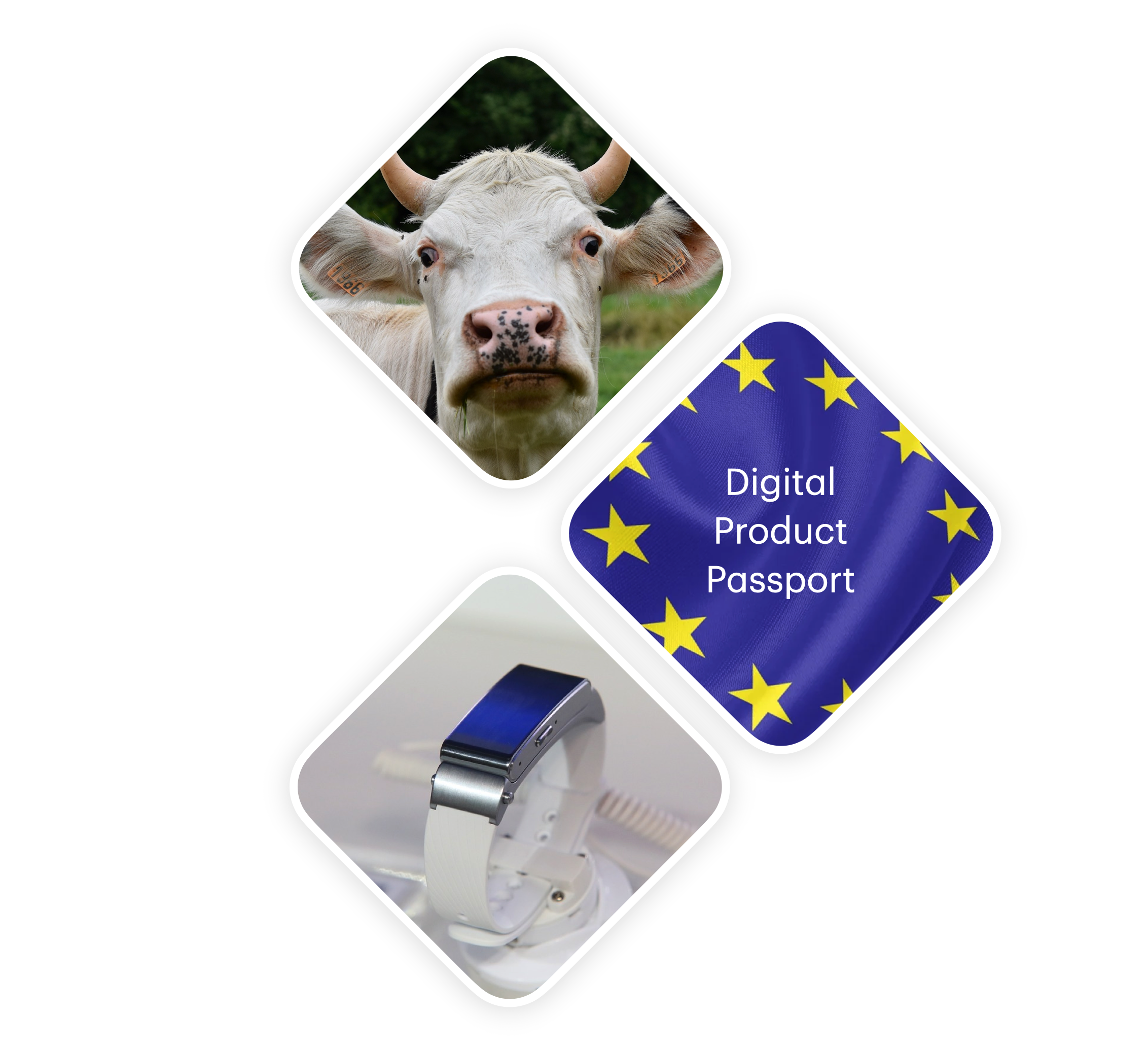 Digital Product Passport Interface